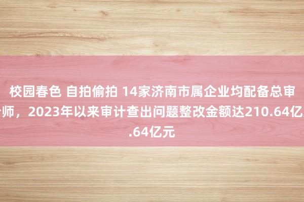 校园春色 自拍偷拍 14家济南市属企业均配备总审计师，2023年以来审计查出问题整改金额达210.64亿元