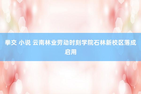 拳交 小说 云南林业劳动时刻学院石林新校区落成启用