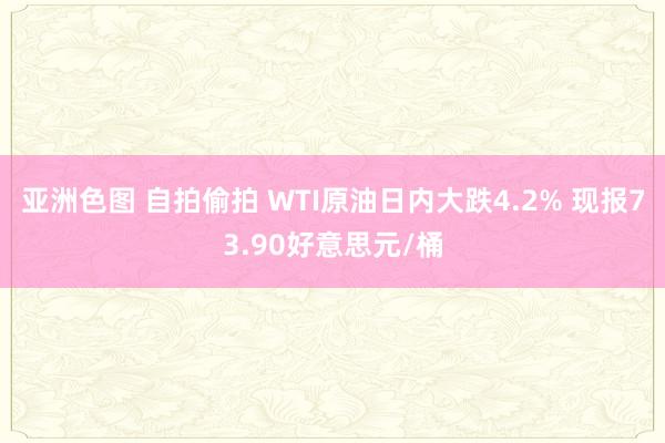 亚洲色图 自拍偷拍 WTI原油日内大跌4.2% 现报73.90好意思元/桶