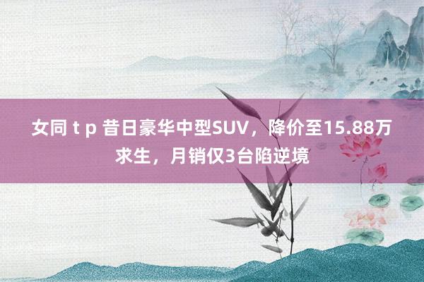 女同 t p 昔日豪华中型SUV，降价至15.88万求生，月销仅3台陷逆境