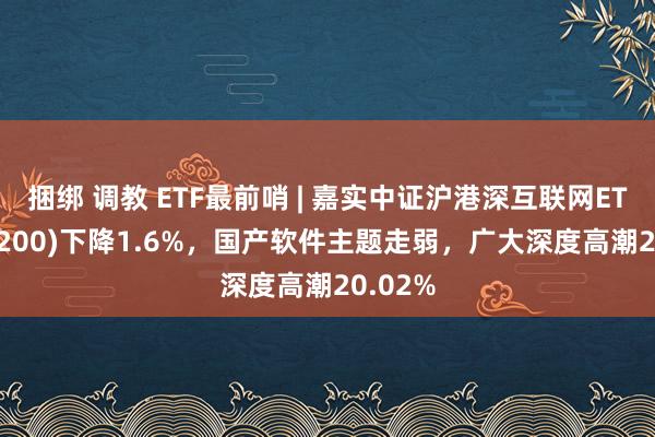 捆绑 调教 ETF最前哨 | 嘉实中证沪港深互联网ETF(517200)下降1.6%,国产软件主题走弱,广大深度高潮20.02%