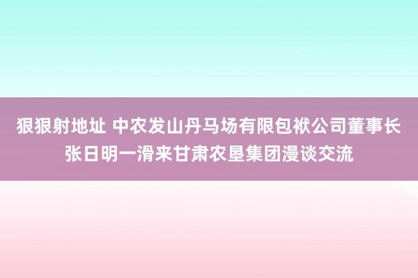 狠狠射地址 中农发山丹马场有限包袱公司董事长张日明一滑来甘肃农垦集团漫谈交流