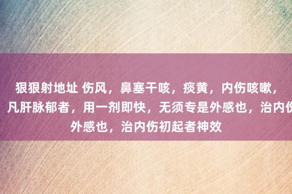 狠狠射地址 伤风，鼻塞干咳，痰黄，内伤咳嗽，内伤散邪汤，凡肝脉郁者，用一剂即快，无须专是外感也，治内伤初起者神效