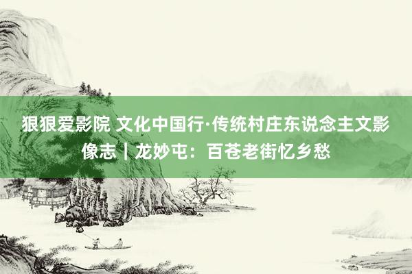 狠狠爱影院 文化中国行·传统村庄东说念主文影像志｜龙妙屯：百苍老街忆乡愁