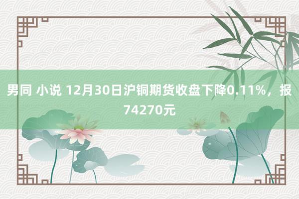 男同 小说 12月30日沪铜期货收盘下降0.11%，报74270元