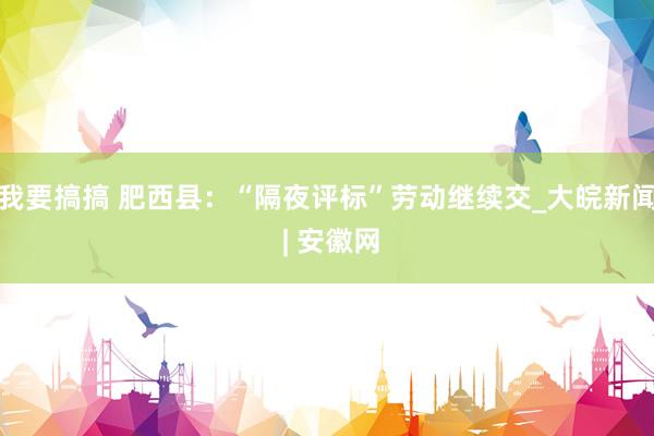 我要搞搞 肥西县：“隔夜评标”劳动继续交_大皖新闻 | 安徽网