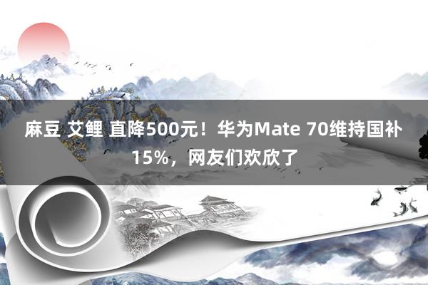 麻豆 艾鲤 直降500元！华为Mate 70维持国补15%，网友们欢欣了