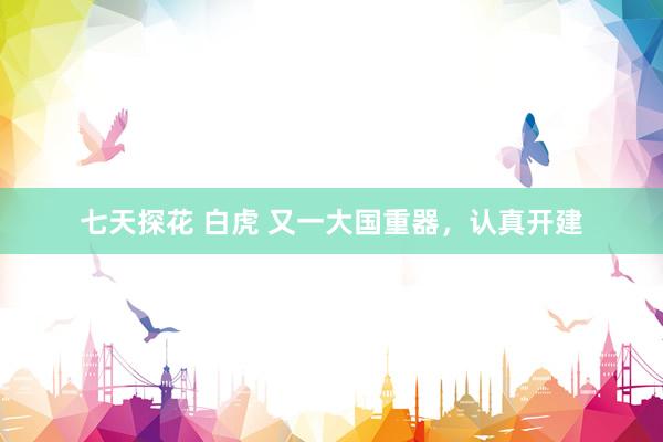 七天探花 白虎 又一大国重器，认真开建
