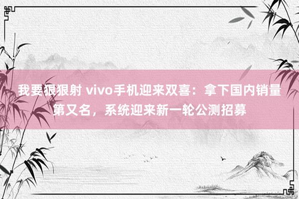 我要狠狠射 vivo手机迎来双喜：拿下国内销量第又名，系统迎来新一轮公测招募