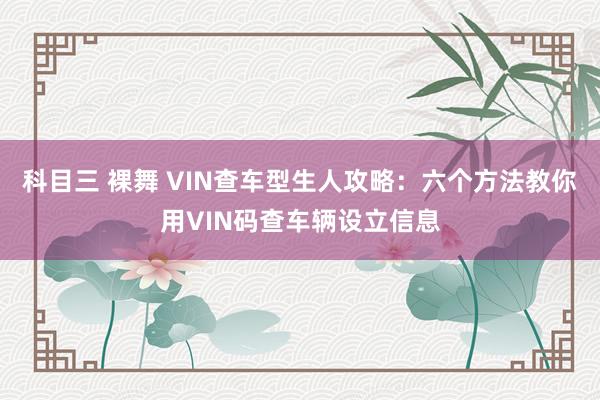 科目三 裸舞 VIN查车型生人攻略：六个方法教你用VIN码查车辆设立信息