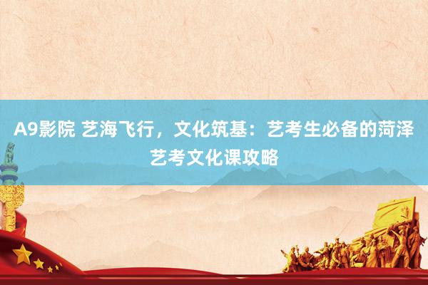 A9影院 艺海飞行，文化筑基：艺考生必备的菏泽艺考文化课攻略