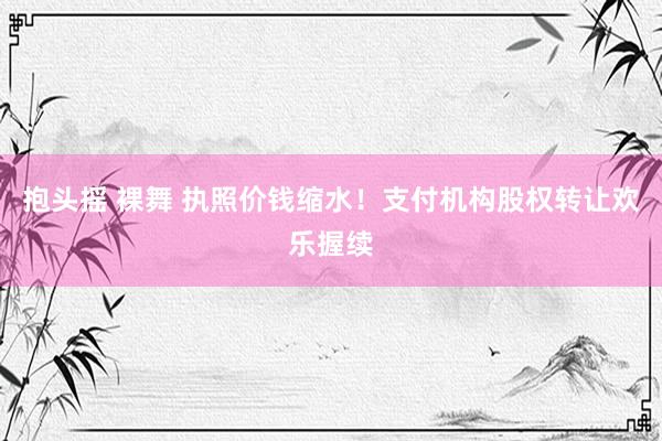 抱头摇 裸舞 执照价钱缩水！支付机构股权转让欢乐握续