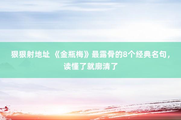 狠狠射地址 《金瓶梅》最露骨的8个经典名句，读懂了就廓清了