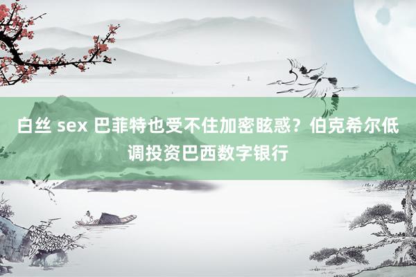 白丝 sex 巴菲特也受不住加密眩惑？伯克希尔低调投资巴西数字银行