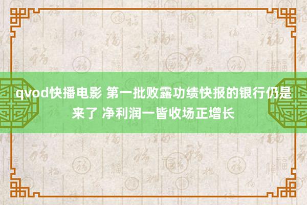 qvod快播电影 第一批败露功绩快报的银行仍是来了 净利润一皆收场正增长