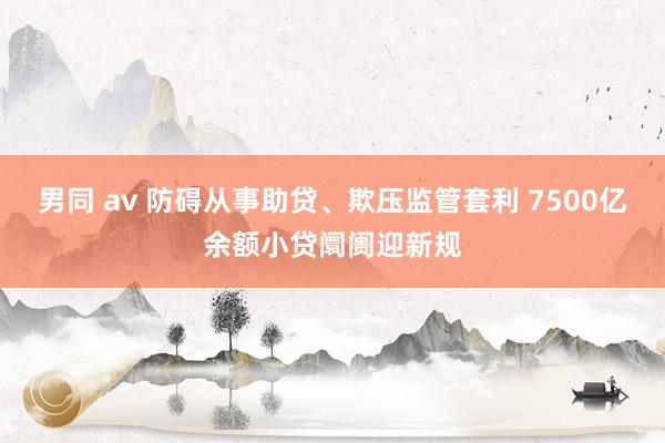 男同 av 防碍从事助贷、欺压监管套利 7500亿余额小贷阛阓迎新规