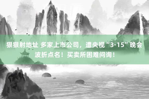 狠狠射地址 多家上市公司，遭央视“3·15”晚会波折点名！买卖所困难问询！