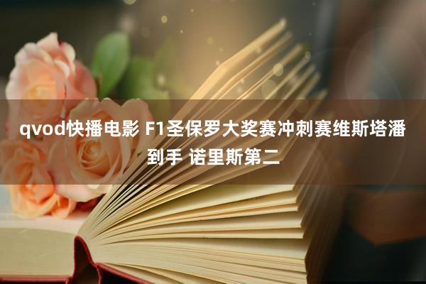 qvod快播电影 F1圣保罗大奖赛冲刺赛维斯塔潘到手 诺里斯第二