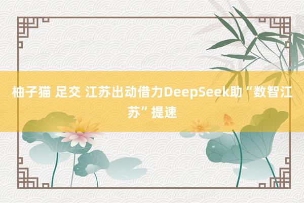 柚子猫 足交 江苏出动借力DeepSeek助“数智江苏”提速