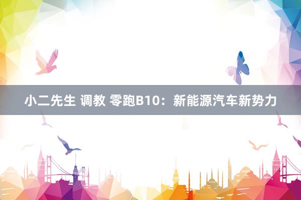 小二先生 调教 零跑B10：新能源汽车新势力
