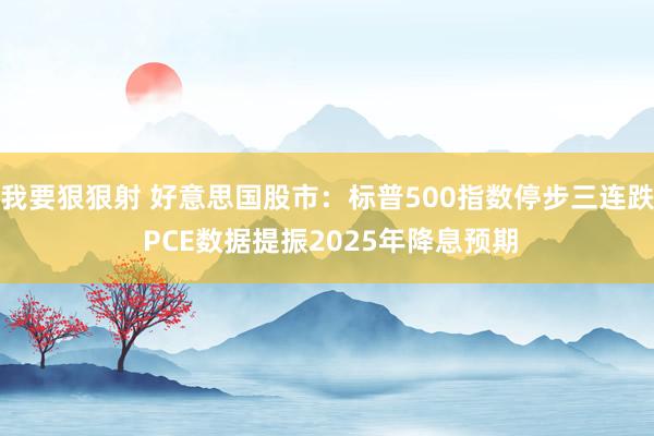 我要狠狠射 好意思国股市：标普500指数停步三连跌 PCE数据提振2025年降息预期