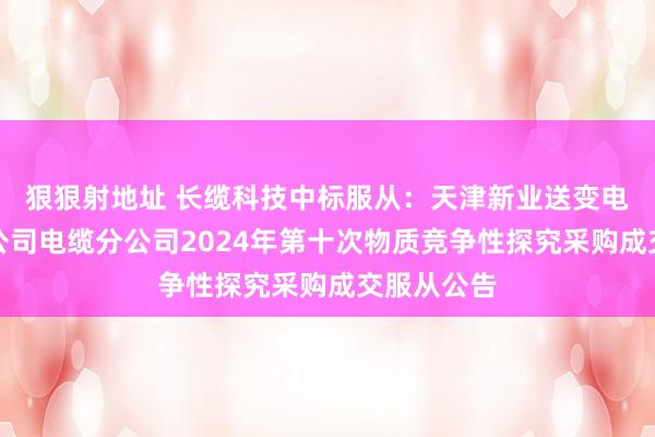 狠狠射地址 长缆科技中标服从：天津新业送变电安装有限公司电缆分公司2024年第十次物质竞争性探究采购成交服从公告