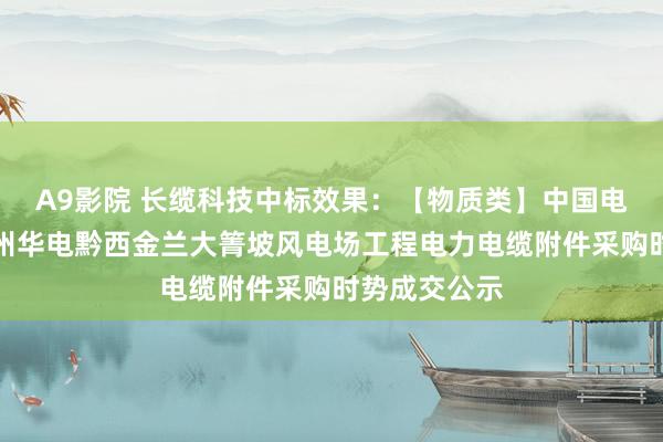 A9影院 长缆科技中标效果：【物质类】中国电建中南院贵州华电黔西金兰大箐坡风电场工程电力电缆附件采购时势成交公示