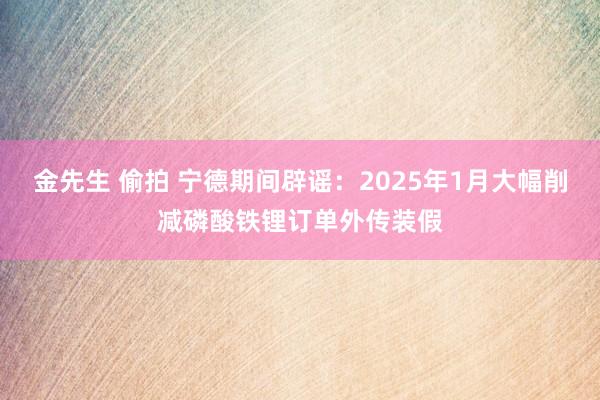 金先生 偷拍 宁德期间辟谣：2025年1月大幅削减磷酸铁锂订单外传装假