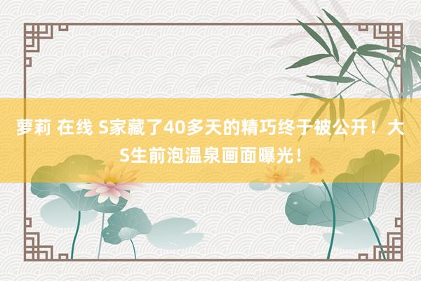萝莉 在线 S家藏了40多天的精巧终于被公开！大S生前泡温泉画面曝光！