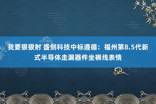 我要狠狠射 盛剑科技中标遵循：福州第8.5代新式半导体走漏器件坐褥线表情