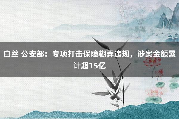 白丝 公安部：专项打击保障糊弄违规，涉案金额累计超15亿