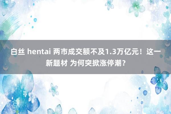 白丝 hentai 两市成交额不及1.3万亿元！这一新题材 为何突掀涨停潮？