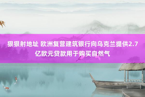 狠狠射地址 欧洲复营建筑银行向乌克兰提供2.7亿欧元贷款用于购买自然气