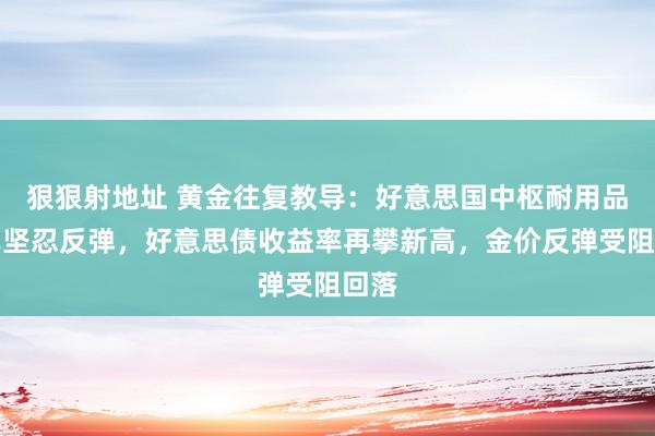 狠狠射地址 黄金往复教导：好意思国中枢耐用品订单坚忍反弹，好意思债收益率再攀新高，金价反弹受阻回落