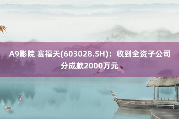 A9影院 赛福天(603028.SH)：收到全资子公司分成款2000万元