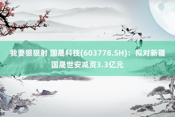 我要狠狠射 国晟科技(603778.SH)：拟对新疆国晟世安减资3.3亿元