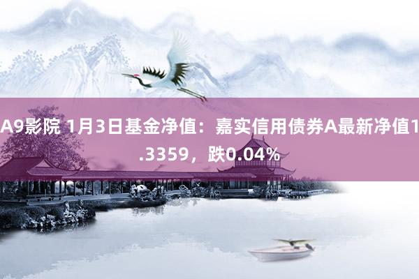 A9影院 1月3日基金净值：嘉实信用债券A最新净值1.3359，跌0.04%