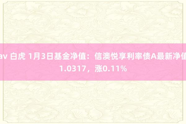 av 白虎 1月3日基金净值：信澳悦享利率债A最新净值1.0317，涨0.11%