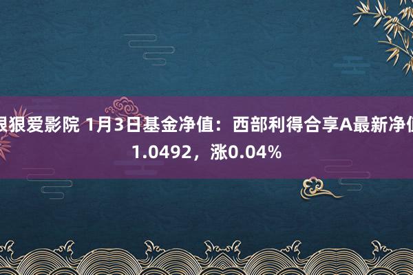狠狠爱影院 1月3日基金净值：西部利得合享A最新净值1.0492，涨0.04%