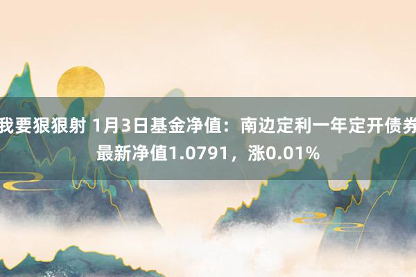 我要狠狠射 1月3日基金净值：南边定利一年定开债券最新净值1.0791，涨0.01%