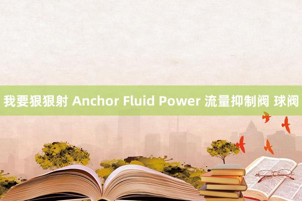 我要狠狠射 Anchor Fluid Power 流量抑制阀 球阀