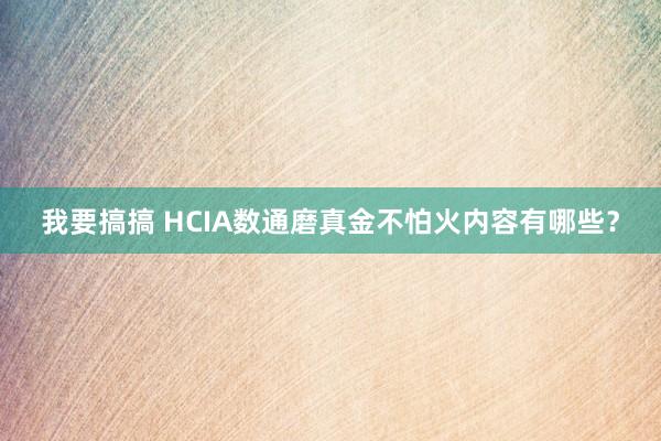 我要搞搞 HCIA数通磨真金不怕火内容有哪些？