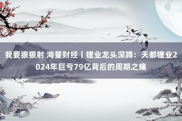 我要狠狠射 海量财经丨锂业龙头深蹲：天都锂业2024年巨亏79亿背后的周期之痛