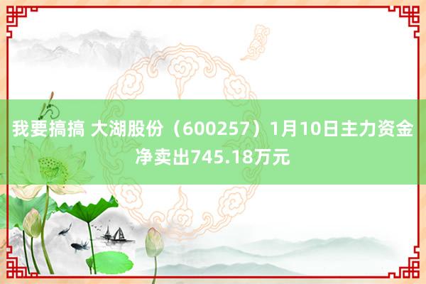 我要搞搞 大湖股份（600257）1月10日主力资金净卖出745.18万元