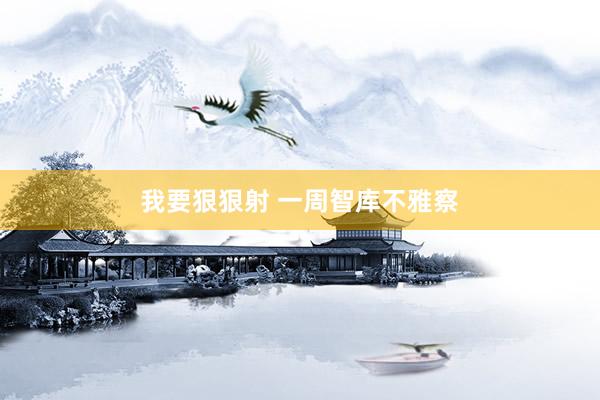 我要狠狠射 一周智库不雅察