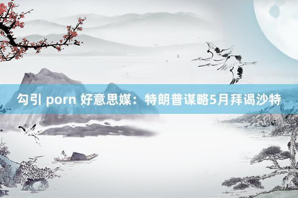 勾引 porn 好意思媒：特朗普谋略5月拜谒沙特