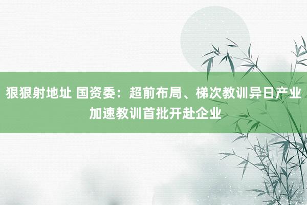 狠狠射地址 国资委：超前布局、梯次教训异日产业 加速教训首批开赴企业