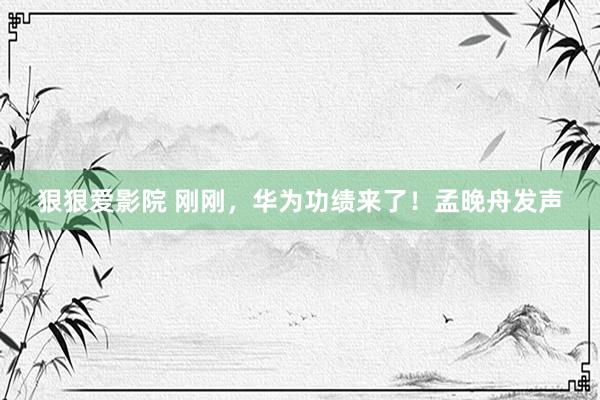 狠狠爱影院 刚刚，华为功绩来了！孟晚舟发声
