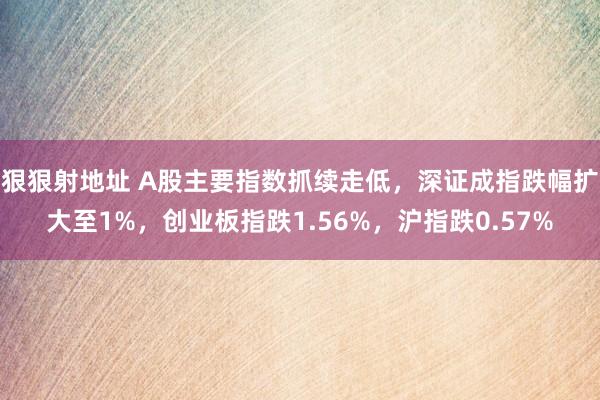 狠狠射地址 A股主要指数抓续走低，深证成指跌幅扩大至1%，创业板指跌1.56%，沪指跌0.57%