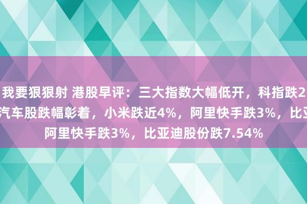 我要狠狠射 港股早评：三大指数大幅低开，科指跌2.45%，科技股、汽车股跌幅彰着，小米跌近4%，阿里快手跌3%，比亚迪股份跌7.54%